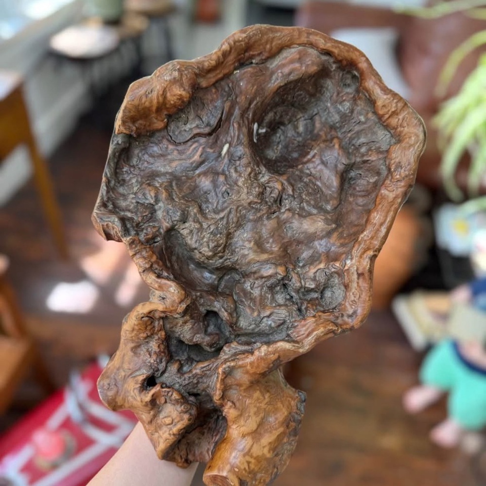 Hand carved Chinese Fir root sculptural piece